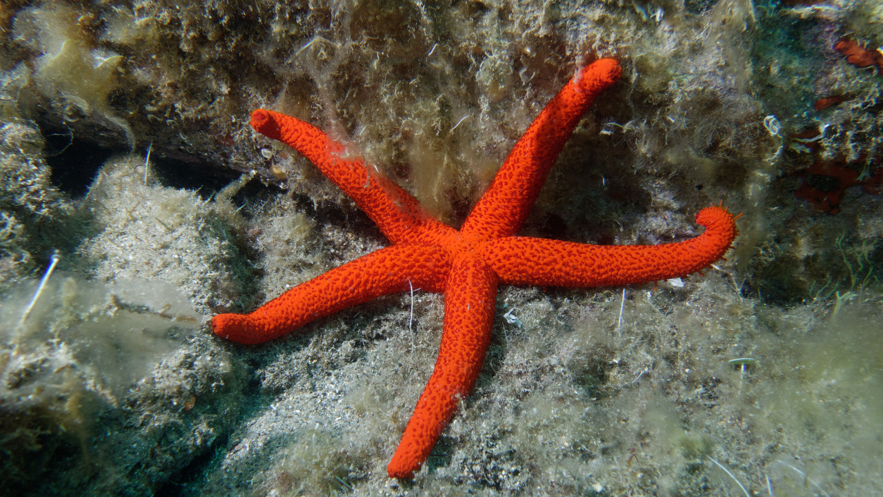 10 yildir devam eden gizemli olumlerin sirri nihayet cozuldu Zj3QM9QS