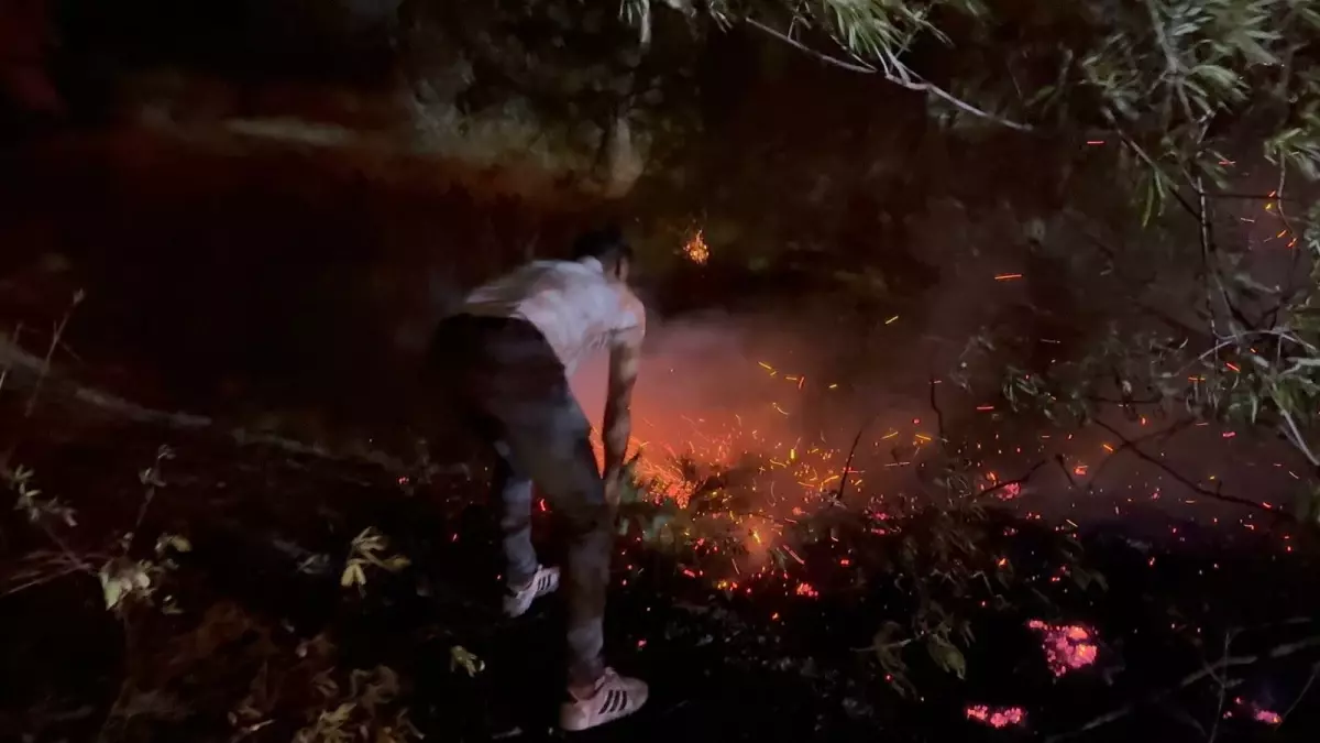 aksuda orman yangininda kundaklama iddiasi DGwNd316