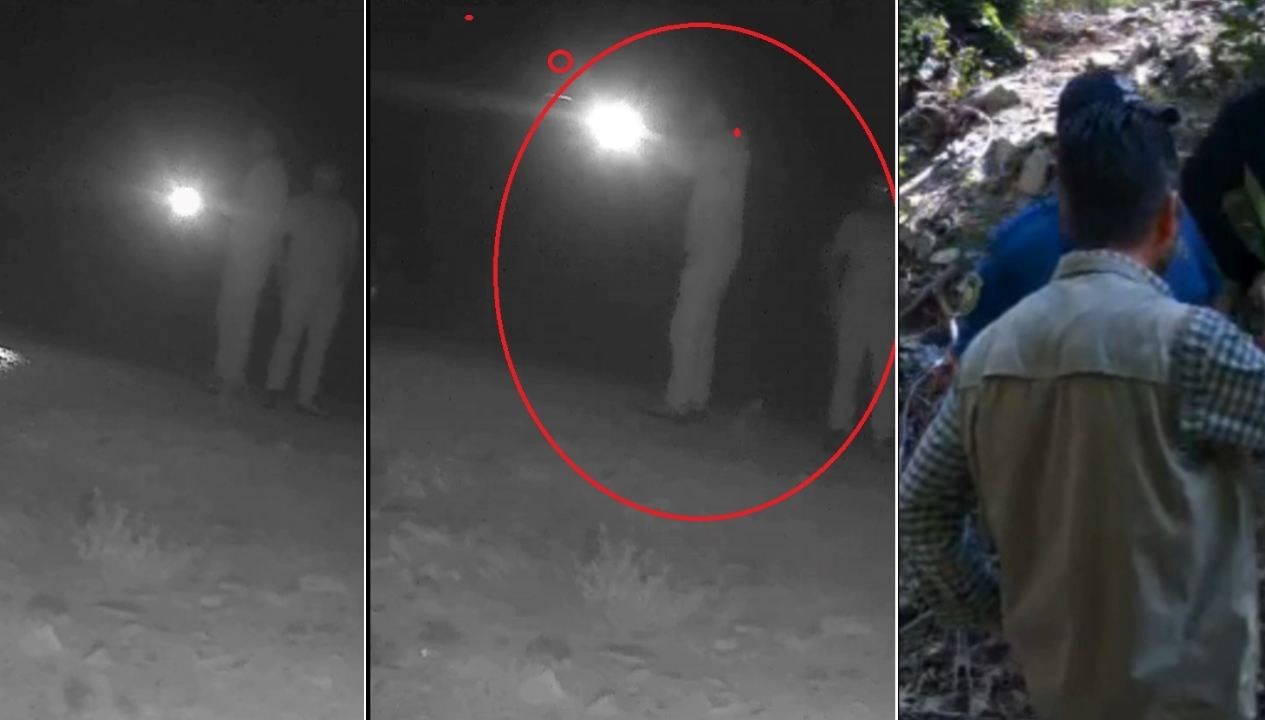 bozayiyi olduren supheliler fotokapanla tespit edildi v3dfTe48