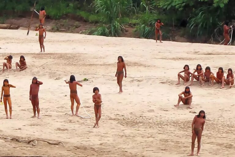 dis dunyayla temasi olmayan mashco piro kabilesi ilk kez goruntulendi I9cQlRng