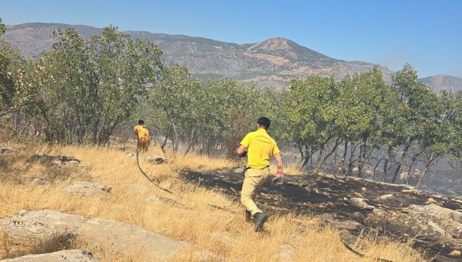 diyarbakirda orman ve ortu yangini uOP4JuFS