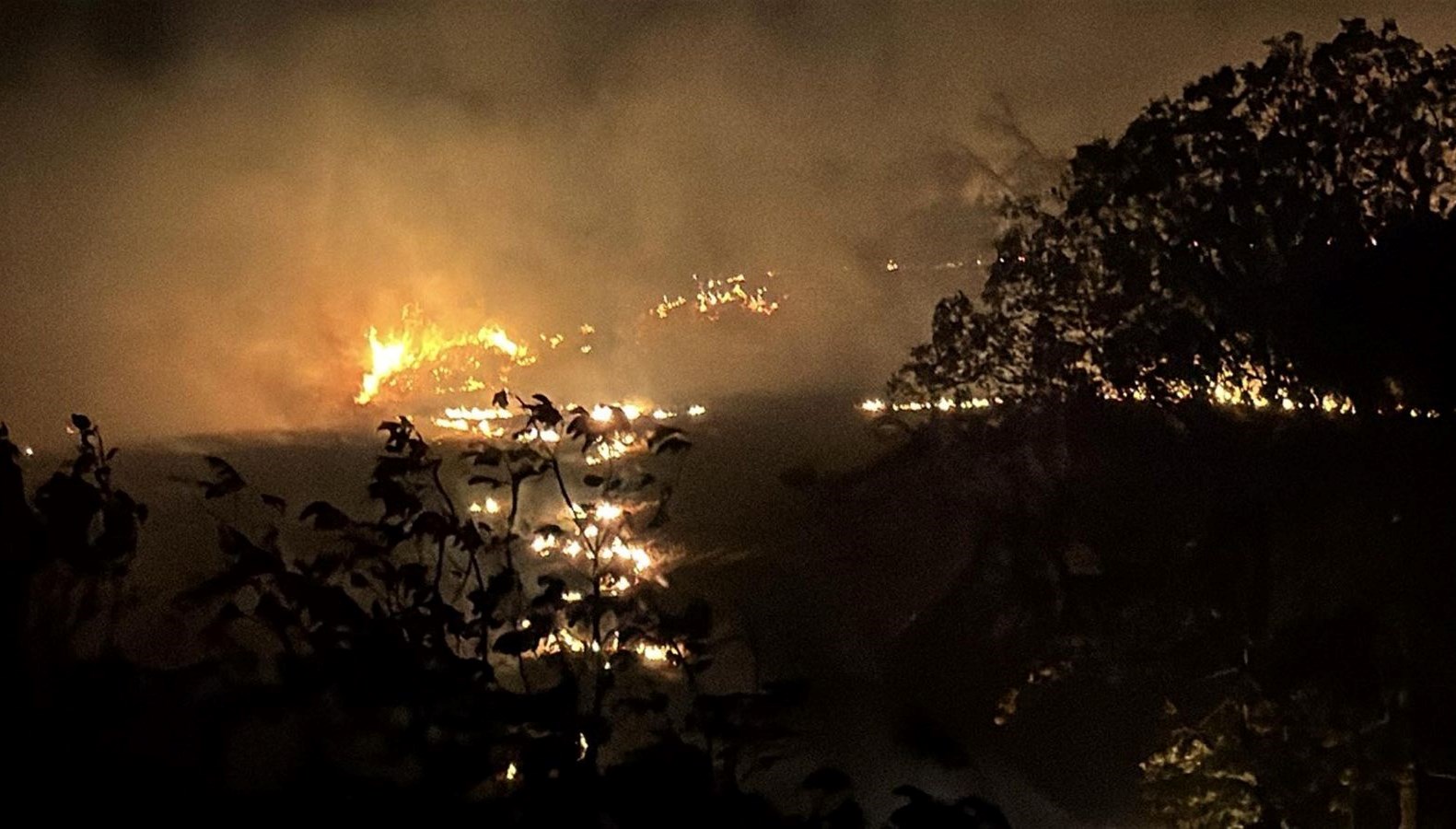 tekirdagda aniz yangini yerlesim yerine ulasmadansonduruldu Ecc3xjZh