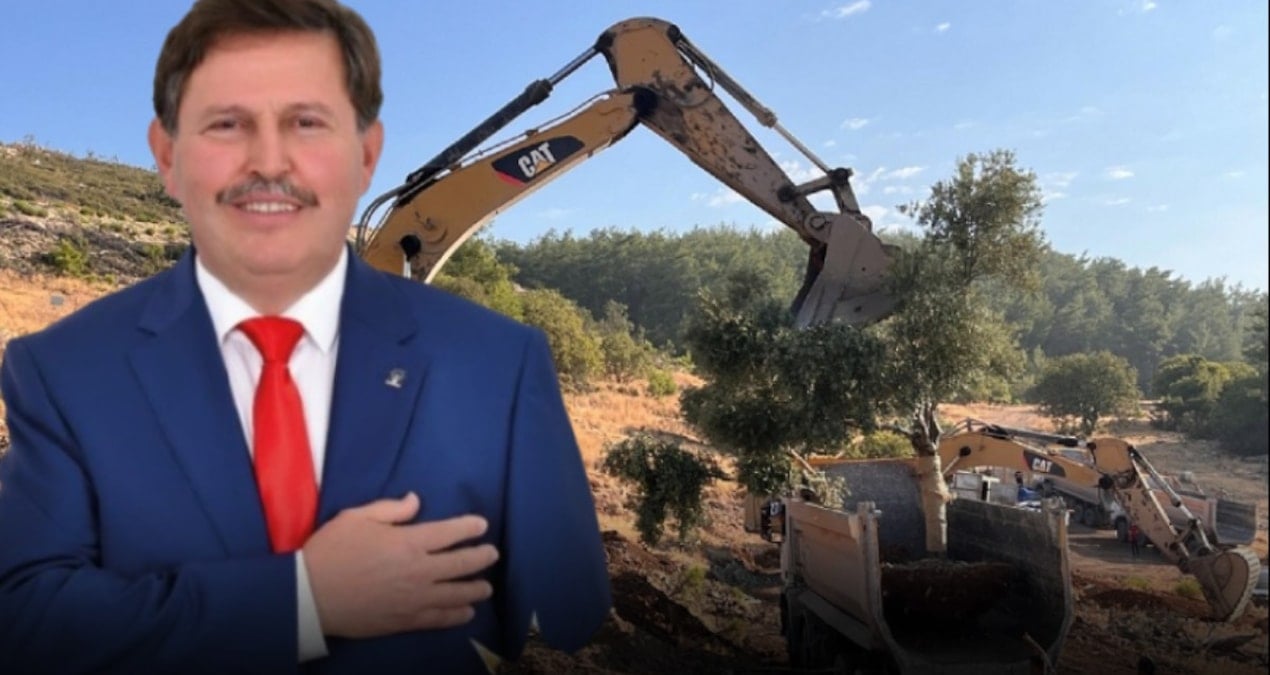 zeytinleri soken isim akpli cikti uQVw31mJ