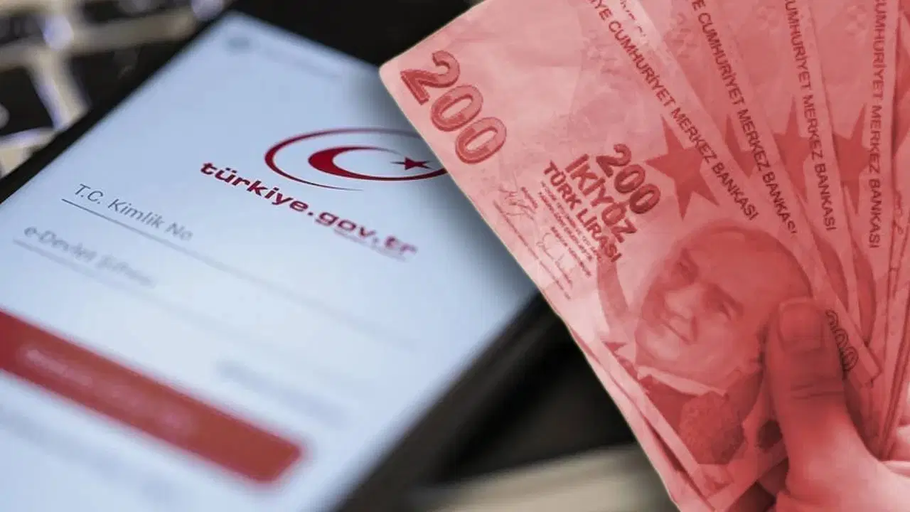 e devletini kontrol etmeyenler kaybediyor paralar devlete iade ediliyor PIuQJnSc