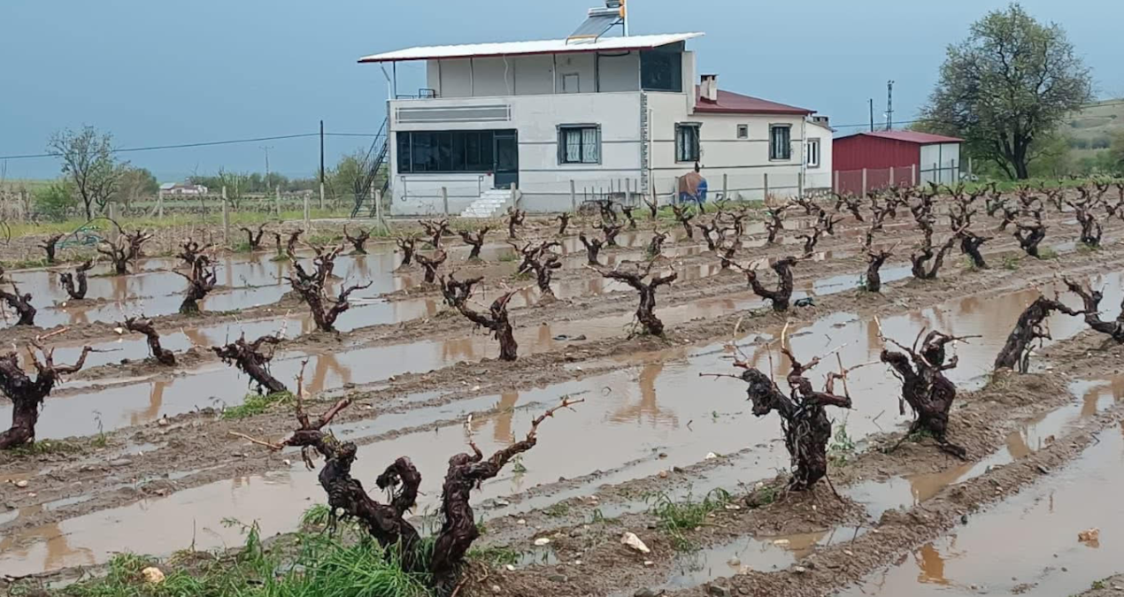 “Altyapı Sorunları Yeniden Gündemde: Şehir Sular Altında Kaldı, Halk Tepkili”
